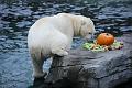 2015-10-22 06-28-15 (2)